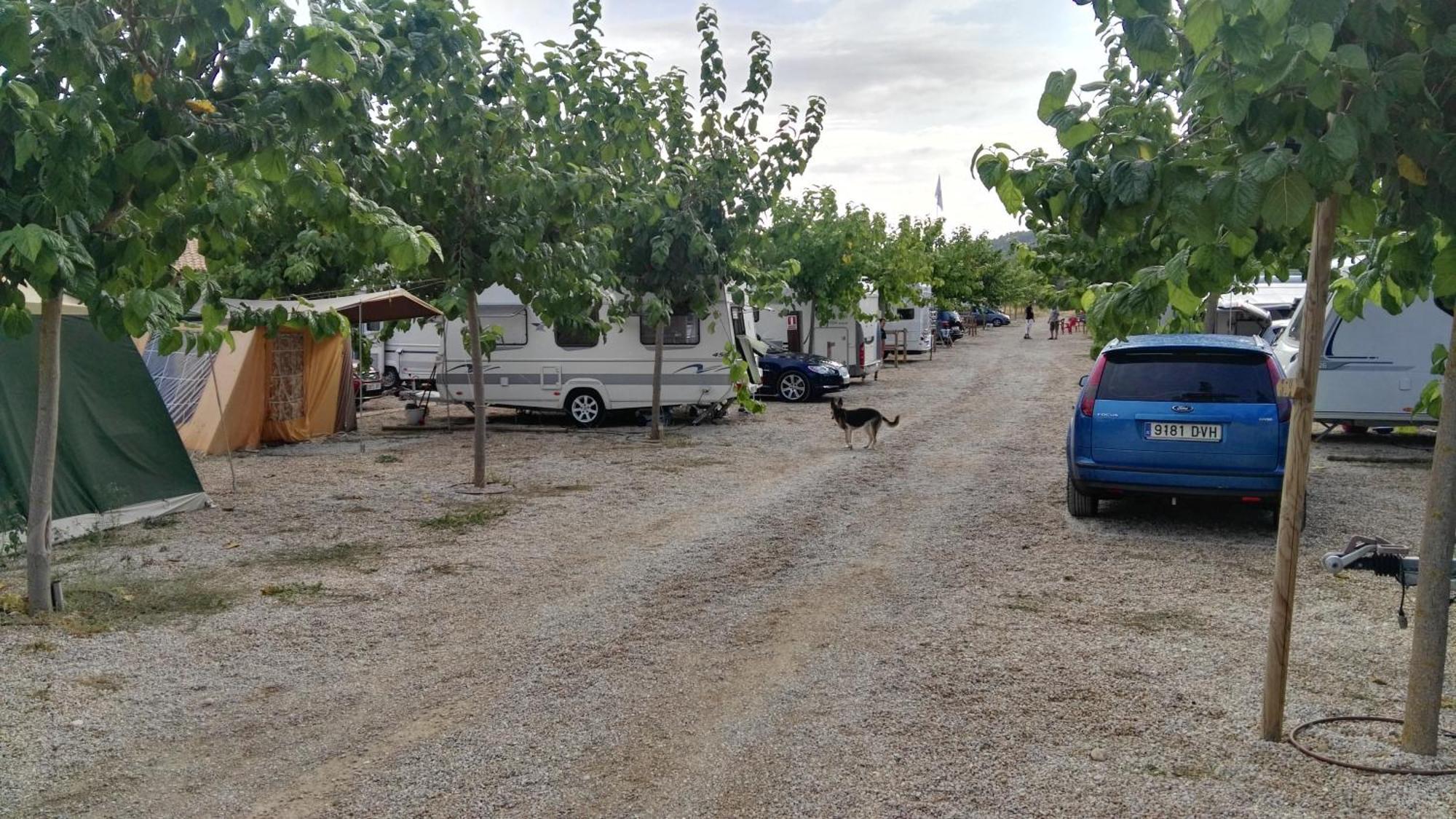 Camping El Roble Valderrobres Kamer foto
